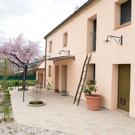 B&B Le Rondini Ostra Senigallia Casine  Экстерьер фото
