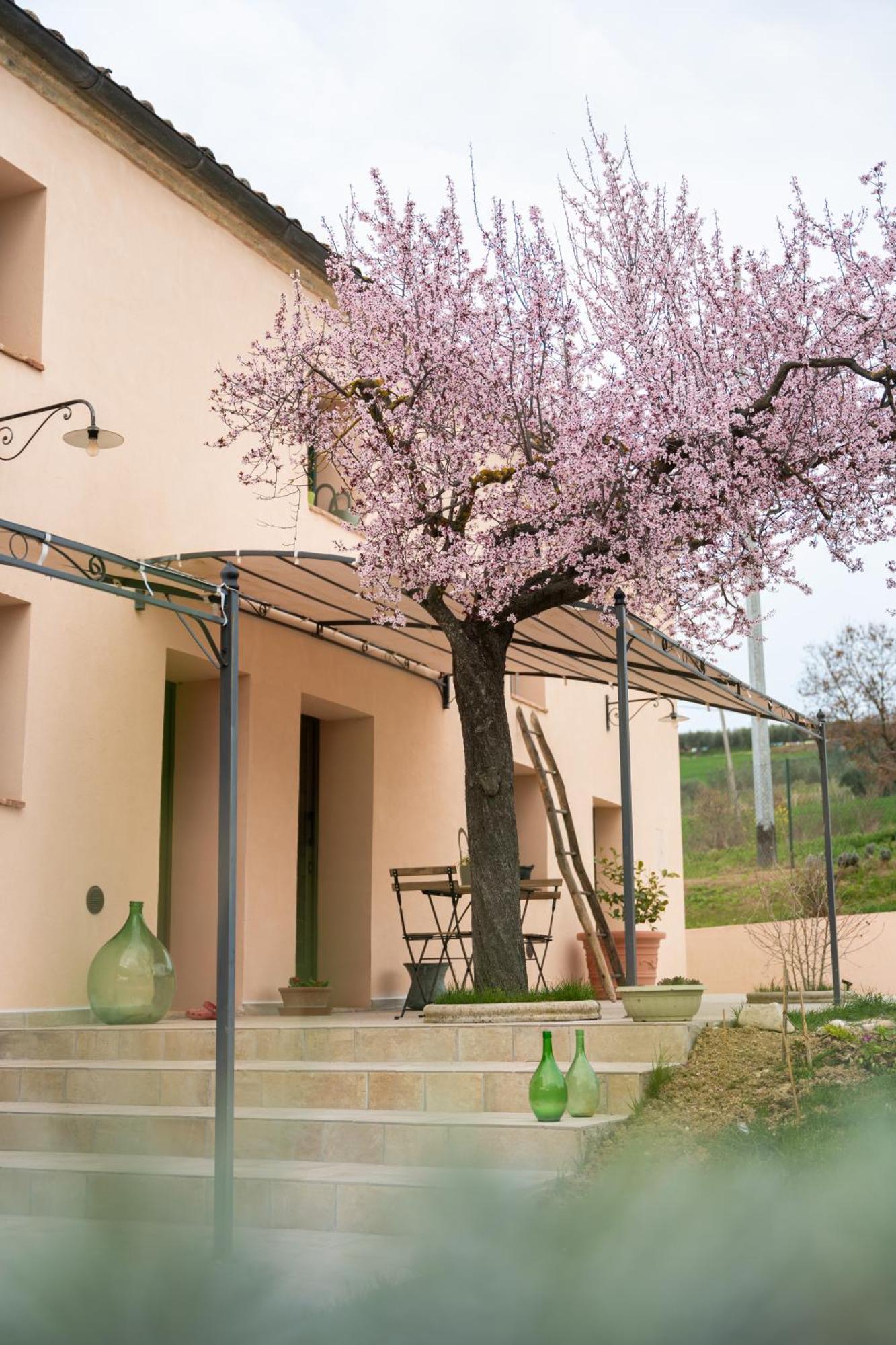 B&B Le Rondini Ostra Senigallia Casine  Экстерьер фото
